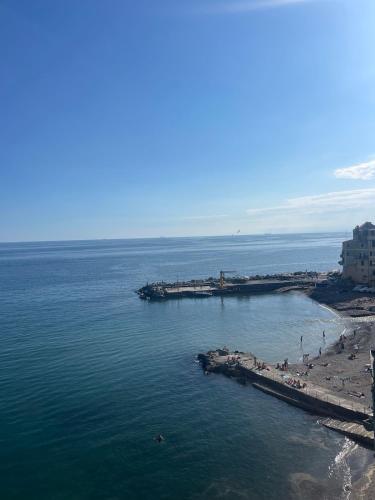 an aerial view of a beach and the ocean at Il nido sul mare blu in Bogliasco