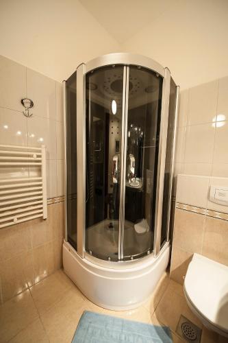 a bathroom with a shower with a toilet and a sink at Apartment May in Mali Lošinj