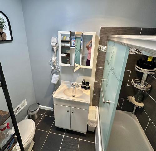 フィラデルフィアにあるEntire rental studio unit in Queen Village Phillyの洗面台とトイレ付きの小さなバスルーム