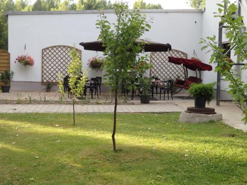 a small tree in the grass in a yard at Zur Saale in Weißenfels