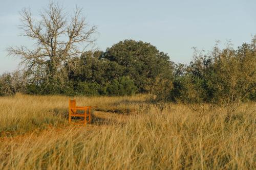 a orange chair sitting in a field of tall grass at The Martinsburg in Stonewall