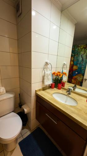 a bathroom with a sink and a toilet and a mirror at Metro Santa Ana 2 dormitorios wifi check in tardío in Santiago