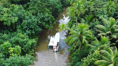 a boat in a river in the middle of a jungle at Apetahi - Bord de mer - in Opoa