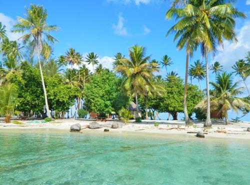 a beach with palm trees and the water at Apetahi - Bord de mer - in Opoa