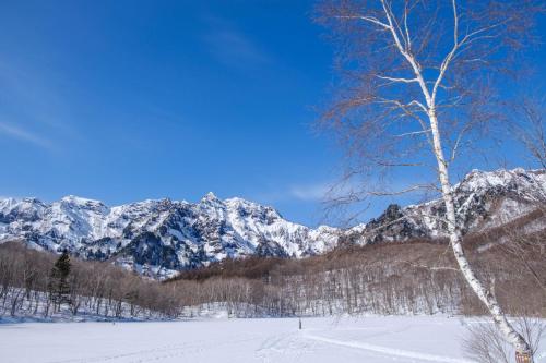 a snow covered mountain range with a tree in the foreground at Private Retreat Nagano Iizuna 