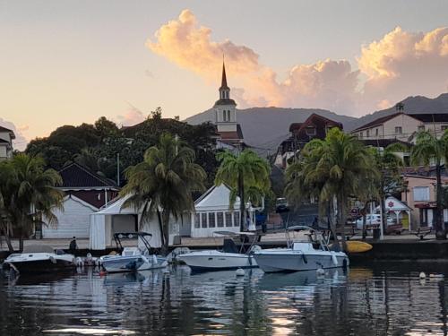 a group of boats docked in a body of water at Martinique 3 ILETS POINTE DU BOUT T2 35M2 in Les Trois-Îlets