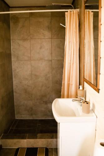 a bathroom with a sink and a shower at Садиба Смугар in Rostoki