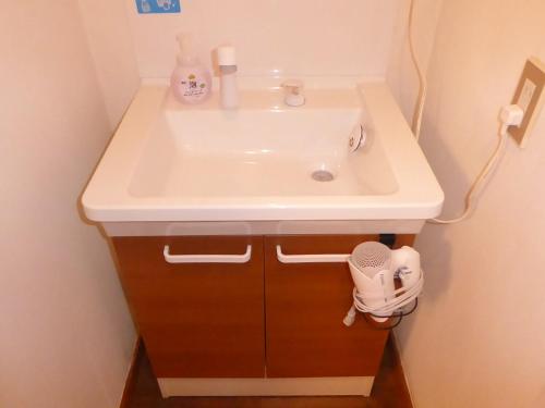 a bathroom with a sink and a shoe under it at Sun Terrace Hakone in Hakone