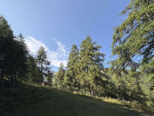 Studio calme 4 pers près des pistes, balcon sud, navette - FR-1-322-686