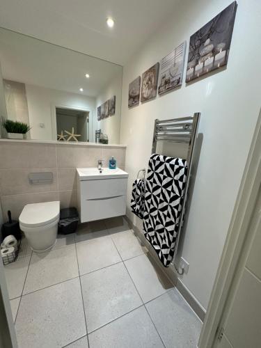 a bathroom with a toilet and a sink at Waterfront luxury apartment in Southampton