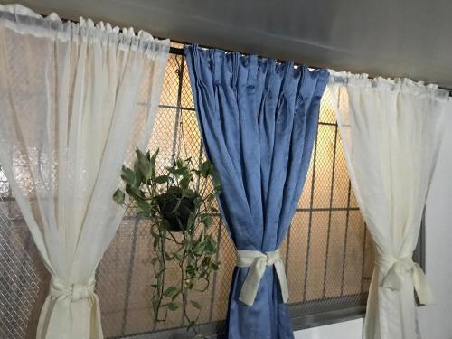 a window with blue and white curtains and a plant at Lowest Price Room In Chinatown Davao with WiFi Room 6 in Davao City