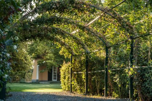 Tenuta "La Meirana" – Photos 3