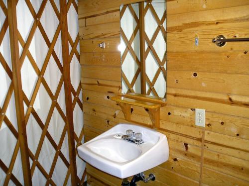 a bathroom with a sink and a mirror at Yosemite Lakes Wheelchair Accessible Meadow Yurt 16 in Harden Flat