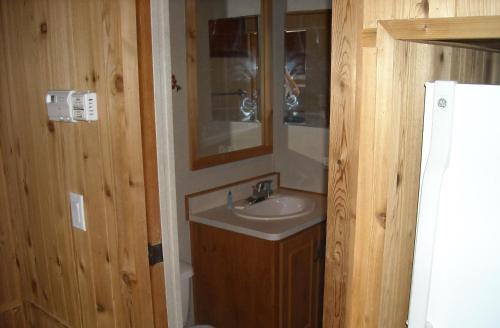 uma casa de banho com um lavatório e um espelho em Yosemite Lakes Cabin 39 em Harden Flat