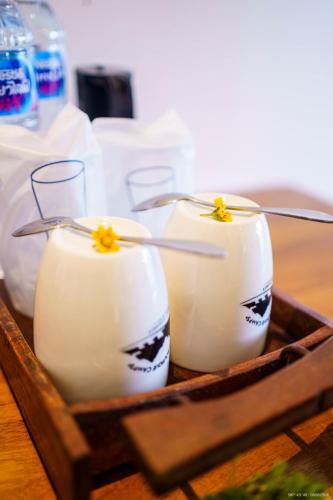 Drinks på Khaosok Boutique Camps