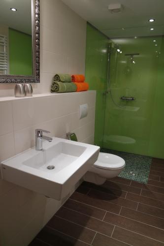 a bathroom with a sink and a shower and a toilet at Ferienwohnungen "Am Mühlteich" in Radeburg