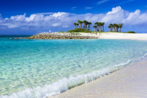 una isla con palmeras en una playa en 稲嶺貸家, 