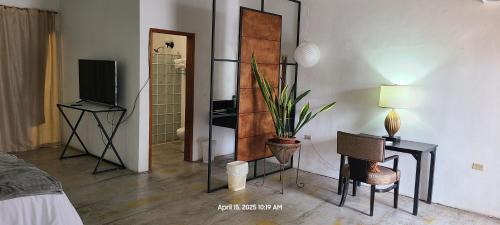 a living room with a television and a desk with a plant at Las Abuelas suites in Copan Ruinas