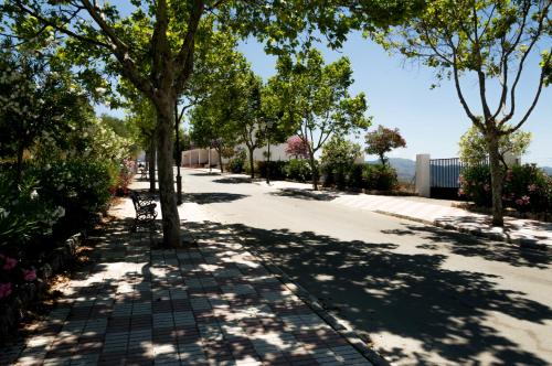 a street with trees on the side of the road at Hotel Los Castaños in Cartajima