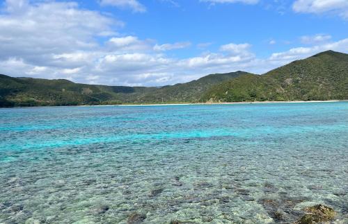 Příroda nedaleko penzionu