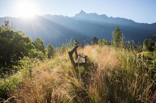 a person sitting on a bench in a field of tall grass at Ferienwohnungen Ötztal in Sautens