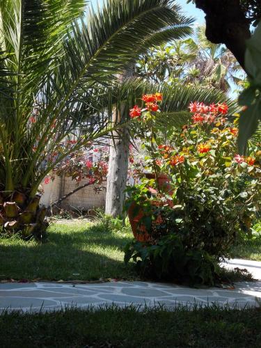 a garden with red flowers and a palm tree at Keti Kapri in Plaka