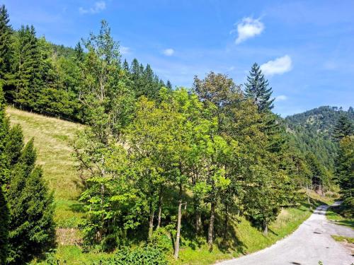 a winding road in the mountains with trees at Ferienwohnung Öhlerhansl in Puchberg am Schneeberg
