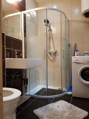 a bathroom with a shower with a toilet and a washing machine at Innerkrems Apartment Mateja in Innerkrems