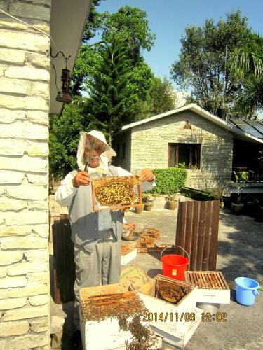 a man in a beehive holding a box of bees at Mum's Garden Resort in Pokhara