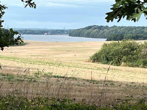 a large field with a lake in the background at Holiday Idyll With Nature And City Nearby in Skødstrup