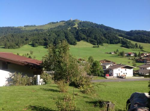 a green field with a house and a mountain at Ferienwohnung Freudenmacher in Sankt Jakob in Haus
