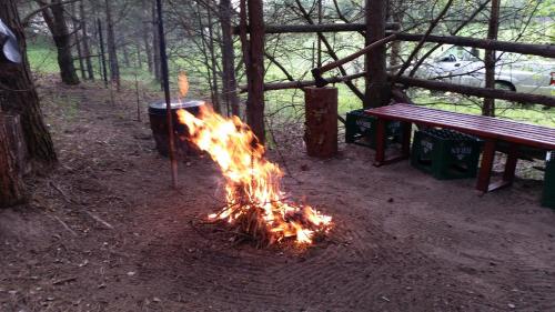 a fire in the woods next to a park bench at Dom na Mazurach in Spychowo