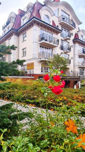 Apartamenty przy Promenadzie Trzy Korony z sypialnią - parking - Apartments an der Promenade Trzy Korony mit Schlafzimmer - Parkplatz- Apartamenty na Wyspie