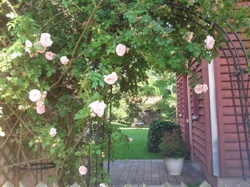 an archway with pink roses on a fence at Romantik-Villa LebensART in Reichenfels