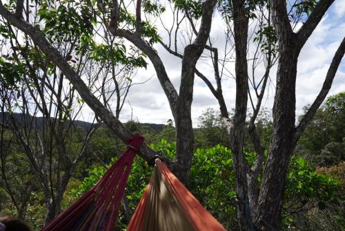 Un paisaje natural cerca del camping