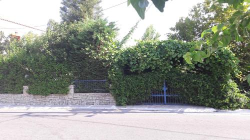 a hedge with a gate in front of a building at Apartments Zafiria in Ágios Konstantínos
