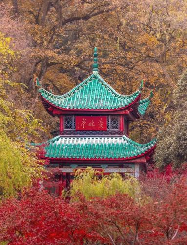 a pagoda with a green roof in a garden at Dori1993 Hotel in Changsha