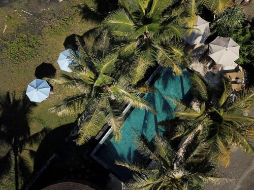 an overhead view of palm trees and a swimming pool at Wide Sands Beach Retreat in Pulukan