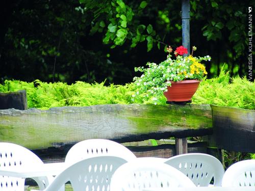 a pot of flowers on a table with white chairs at Berghotel Brockenblick in Hildesheim