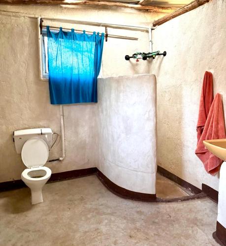 a bathroom with a toilet and a blue shower curtain at Wait-a-bit Cottage, Nyika Eco Cottages in Mtito Andei