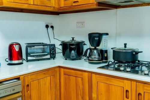 a kitchen counter with a stove and a microwave at U & S Luxury Apartments Ltd in Quatre Bornes