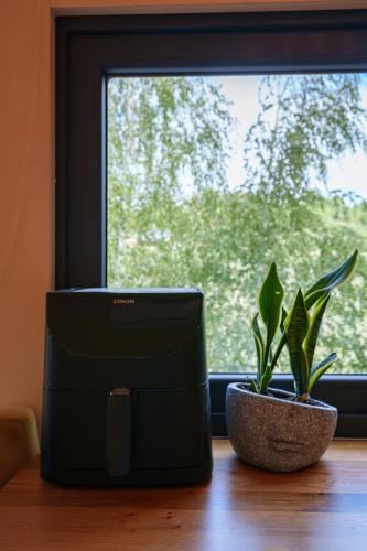 Fotografie z fotogalerie ubytování Coniferis v destinaci Tomnatic