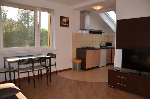 A kitchen or kitchenette at Apartamenty Milówka Centrum