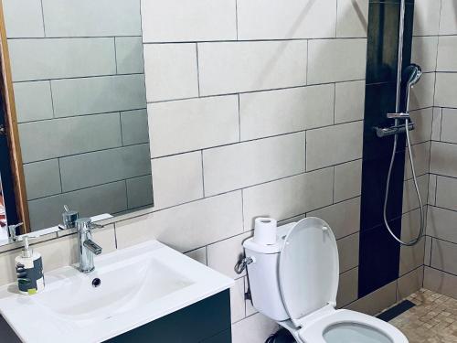 a bathroom with a sink and a toilet and a mirror at Gîte Le Prunier à Le Tampon - FR-1-786-65 in Maison de lʼEnfance