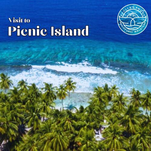 a picture of a beach with palm trees and the ocean at All Inclusive Stays by Excited Tours - Dhiffushi in Dhiffushi