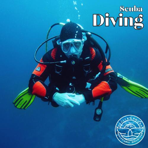 a person in a scuba diver suit sitting in the water at All Inclusive Stays by Excited Tours - Dhiffushi in Dhiffushi
