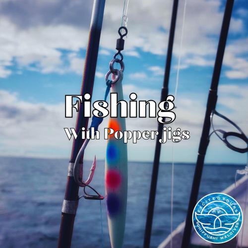 a fishing pole and a fishing rod on a boat at All Inclusive Stays by Excited Tours - Dhiffushi in Dhiffushi
