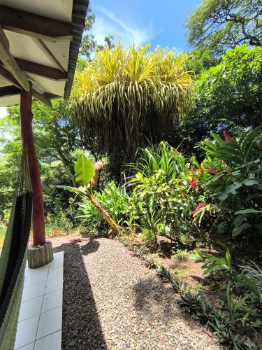a garden with plants and a walk way at Cabañas Cañas Castilla in La Cruz