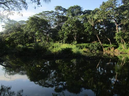 a body of water with trees in the background at Cabañas Cañas Castilla in La Cruz