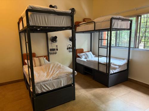 two bunk beds are sitting in a room at OffDuty Hostel Koregaon Park in Pune